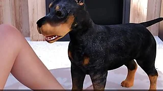 xnxx 26